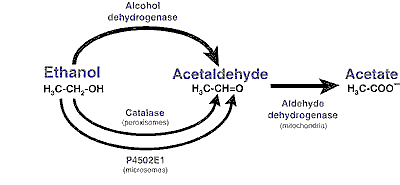 Alcohol — figure 1