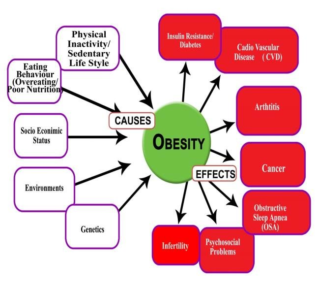 Obesity — figure 1