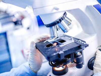 Gloved hands adjusting a microscope stage
